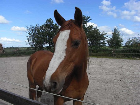 Foto aus der Fotogruppe 