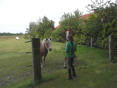 Foto aus der Fotogruppe 