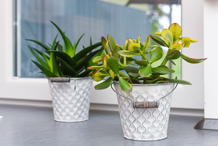 Ferienwohnung „Adele Remmers“ - Wohnzimmer mit integriertem Küchenbereich