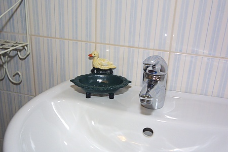 Ferienhaus „Altensieler Tief“ - Badezimmer 1