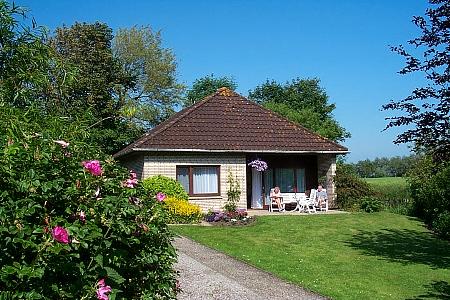 Ferienhaus „Esche“ - Aussenansicht Terrassenseite