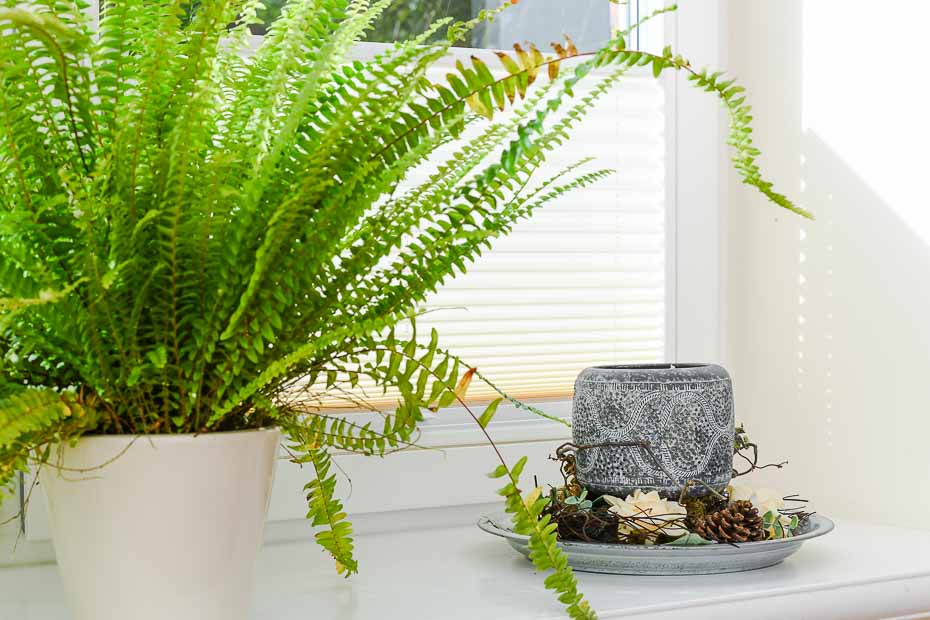Ferienhaus „Hof Altensiel“ - Wohnzimmer im Obergeschoss