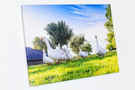 Ferienwohnung „Kirsche“ - Schlafzimmer 2/Kinderzimmer