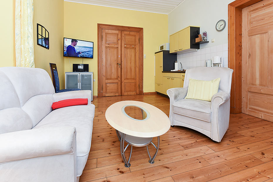 Appartement - Wohnzimmer mit integriertem Küchenbereich