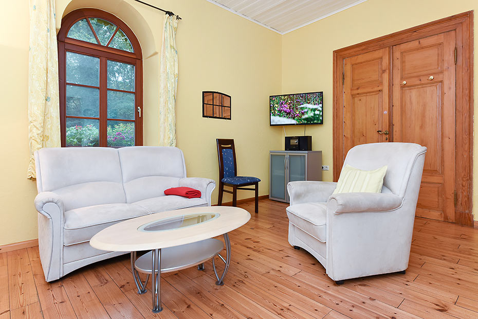 Appartement - Wohnzimmer mit integriertem Küchenbereich