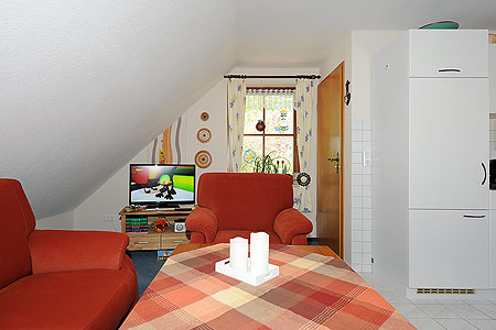 Ferienwohnung - Wohnzimmer mit integriertem Küchenbereich