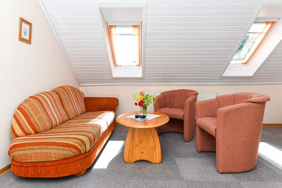 Ferienwohnung „Grön Land“ - Wohnzimmer mit integriertem Küchenbereich