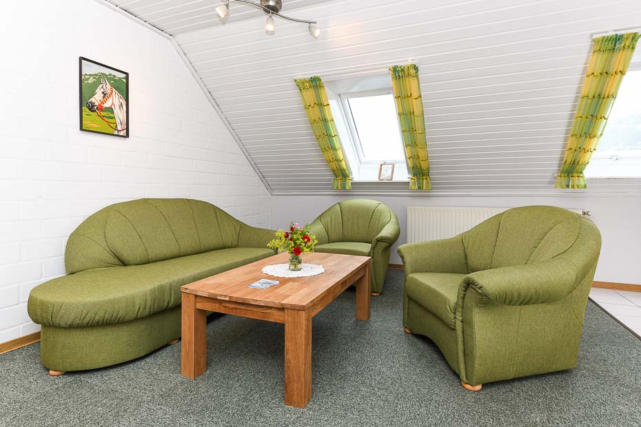 Ferienwohnung „Seediek“ - Wohnzimmer mit integriertem Küchenbereich