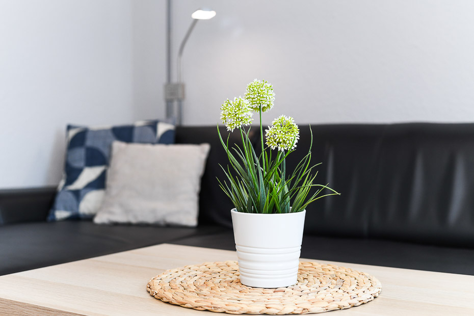 Ferienwohnung „Luuv“ - Wohnzimmer mit integriertem Küchenbereich