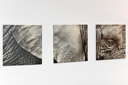 Ferienwohnung „Robbenplate“ - Wohnzimmer mit integriertem Küchenbereich