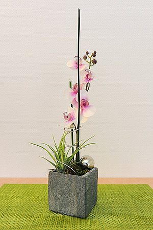 Ferienwohnung „Strandtor“ - Wohnzimmer mit integriertem Küchenbereich