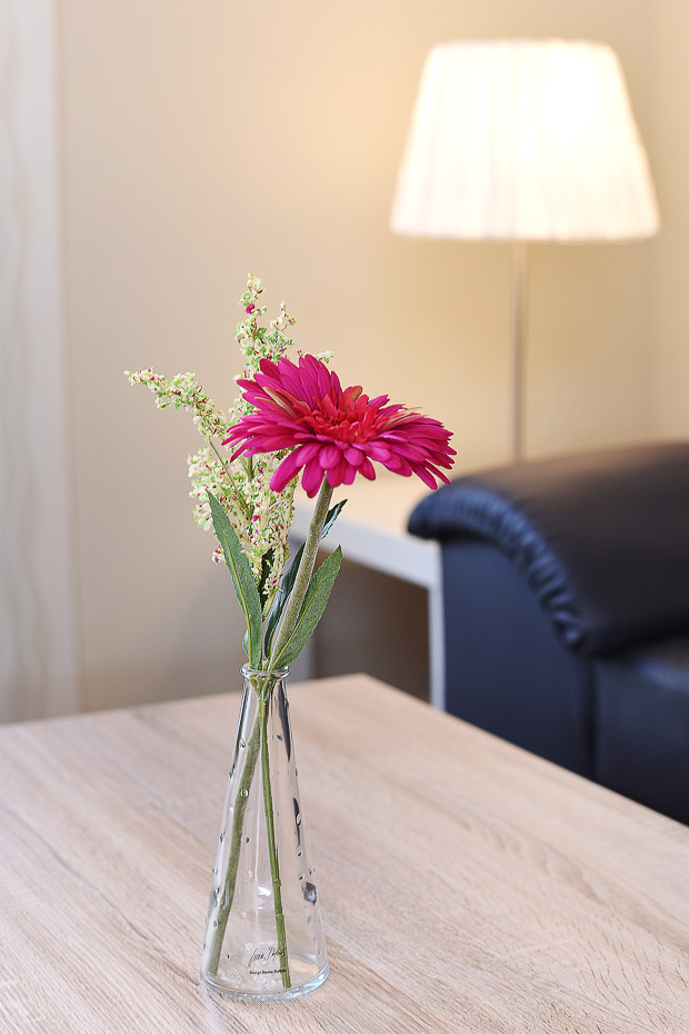 Ferienhaus „Relax“ - Wohnzimmer mit integriertem Küchenbereich