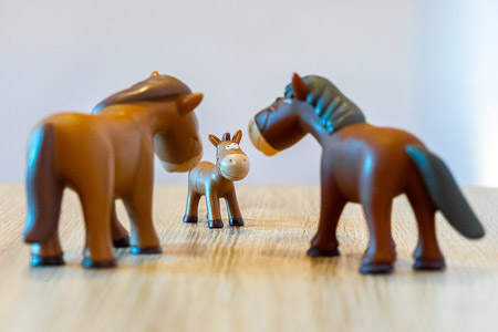 Ferienwohnung 2 - Schlafzimmer 3/Kinderzimmer