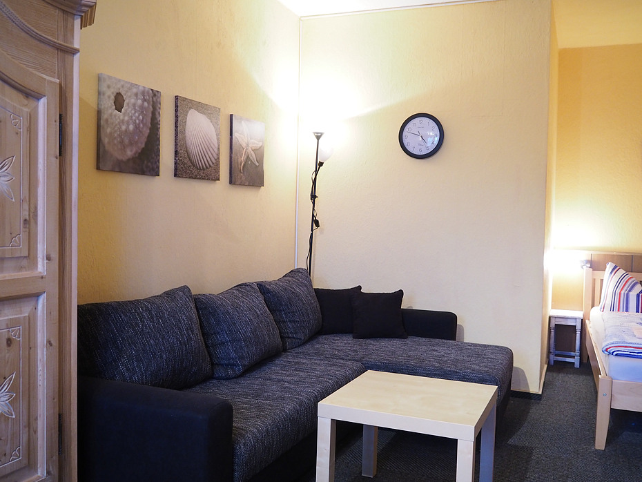 Apartment - Wohn- und Schlafraum mit integriertem Küchenbereich