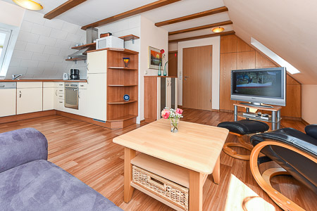 Apartment 6 - Wohnzimmer mit integriertem Küchenbereich