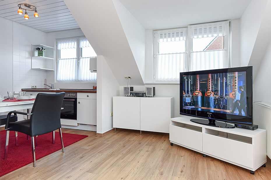 Ferienwohnung 4 - Wohnzimmer mit integriertem Küchenbereich