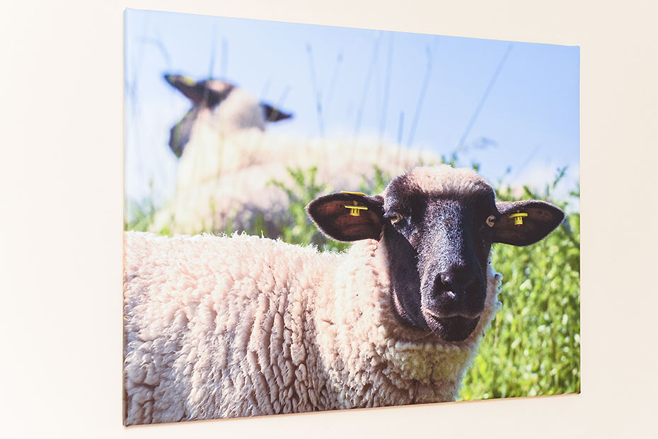 Ferienwohnung 7 - Schlafzimmer 2/Kinderzimmer
