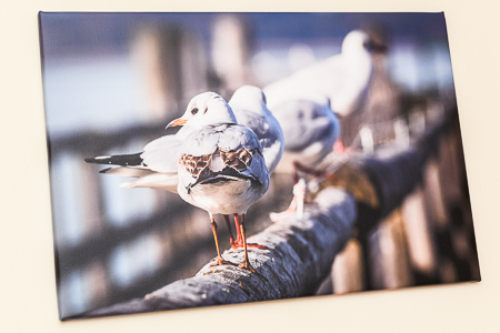 Ferienwohnung 8 - Schlafzimmer 2/Kinderzimmer