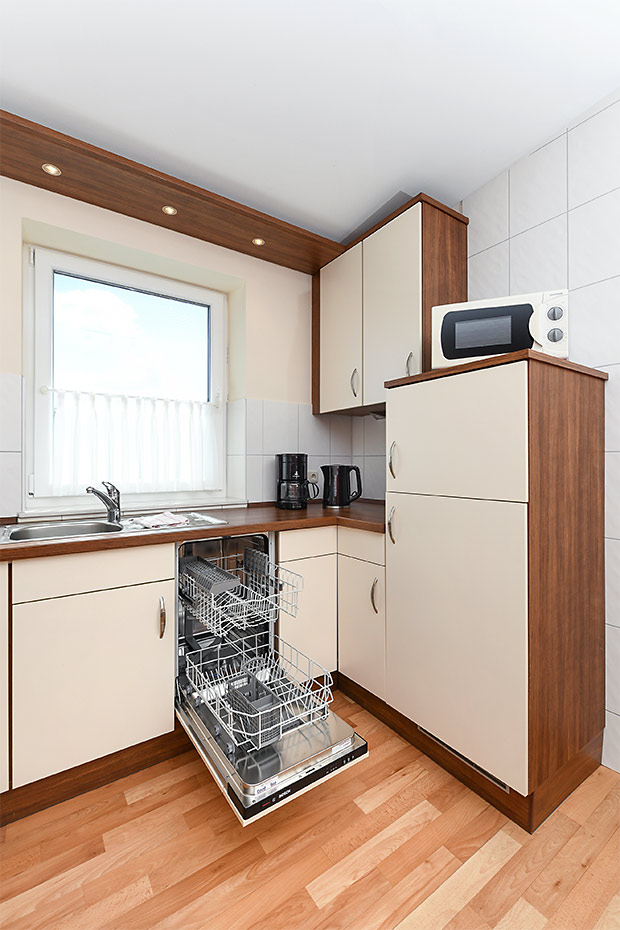 Ferienwohnung 9 - Wohnraum mit integrierter Küche