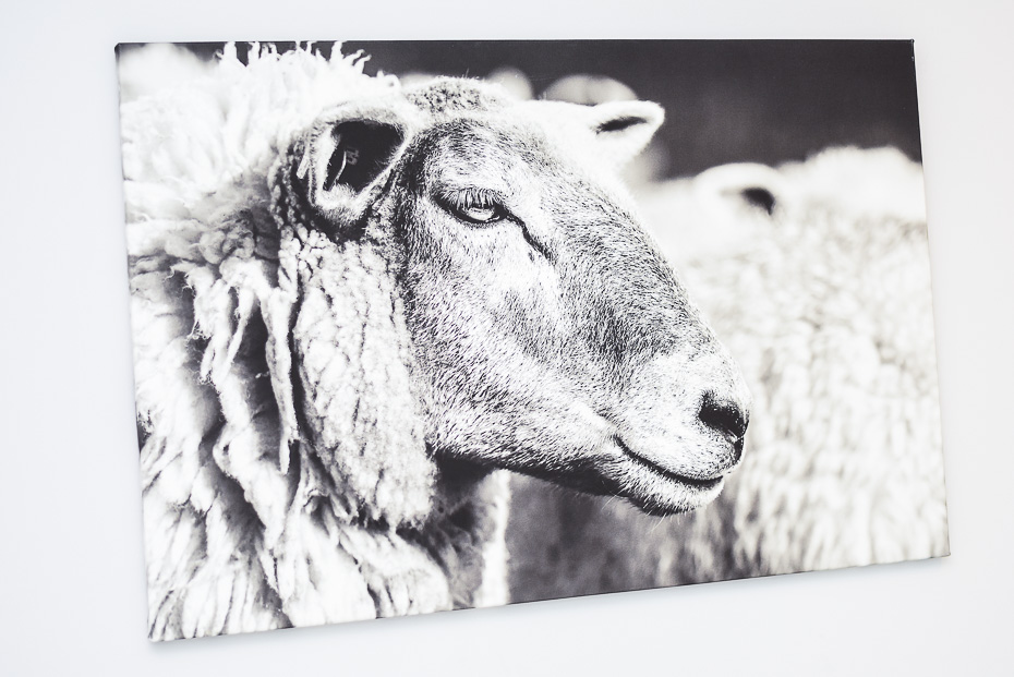 Ferienwohnung 15 - Schlafzimmer 2/Kinderzimmer