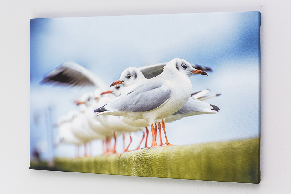 Ferienwohnung 18 - Wohnzimmer mit integriertem Küchenbereich