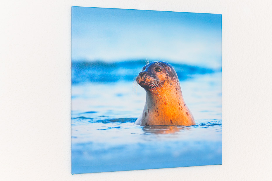 Ferienhaus „Wiggermann“ - Schlafzimmer 2/Kinderzimmer