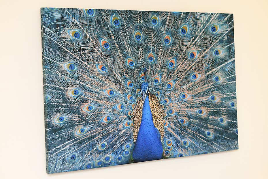 Ferienhaus „Nordseeschnecke“ - Schlafzimmer 1