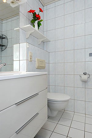 Ferienhaus 301 - Badezimmer