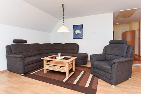 Ferienwohnung 4 - Wohnzimmer mit integriertem Küchenbereich