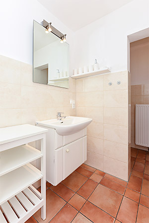 Ferienhaus im Taddigshörn 303 - Badezimmer