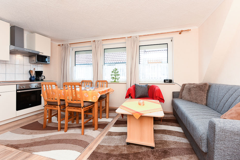 Ferienwohnung „Seehund“ - Wohnraum mit integrierter Küche