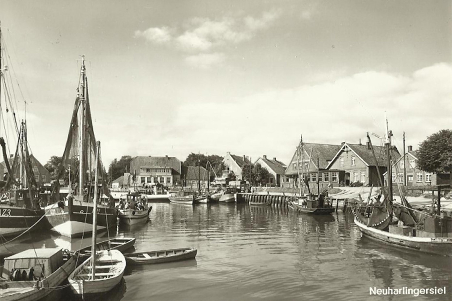 Foto aus der Fotogruppe 