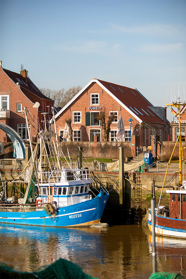 Foto aus der Fotogruppe 