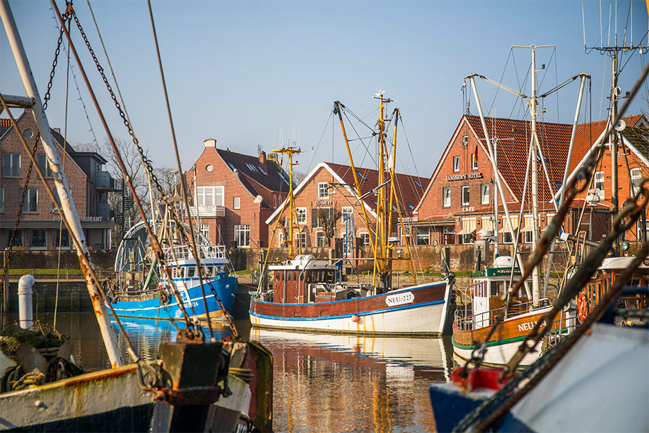 Foto aus der Fotogruppe 