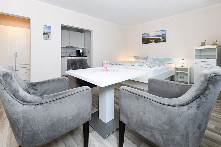 Apartment 15 - Wohn- und Schlafraum mit räumlich abgeteiltem Küchenbereich