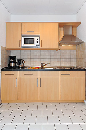 Apartment 16 - Wohn- und Schlafraum mit räumlich abgeteiltem Küchenbereich