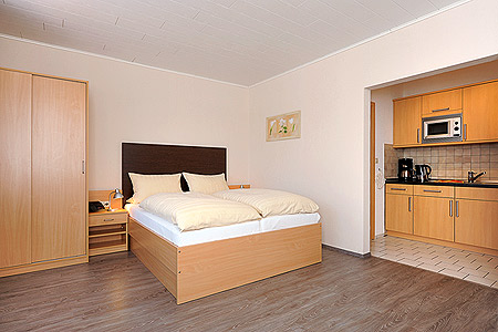 Apartment 16 - Wohn- und Schlafraum mit räumlich abgeteiltem Küchenbereich