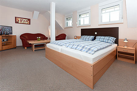 Apartment 17 - Wohn- und Schlafraum mit räumlich abgeteiltem Küchenbereich