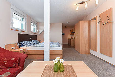 Apartment 17 - Wohn- und Schlafraum mit räumlich abgeteiltem Küchenbereich