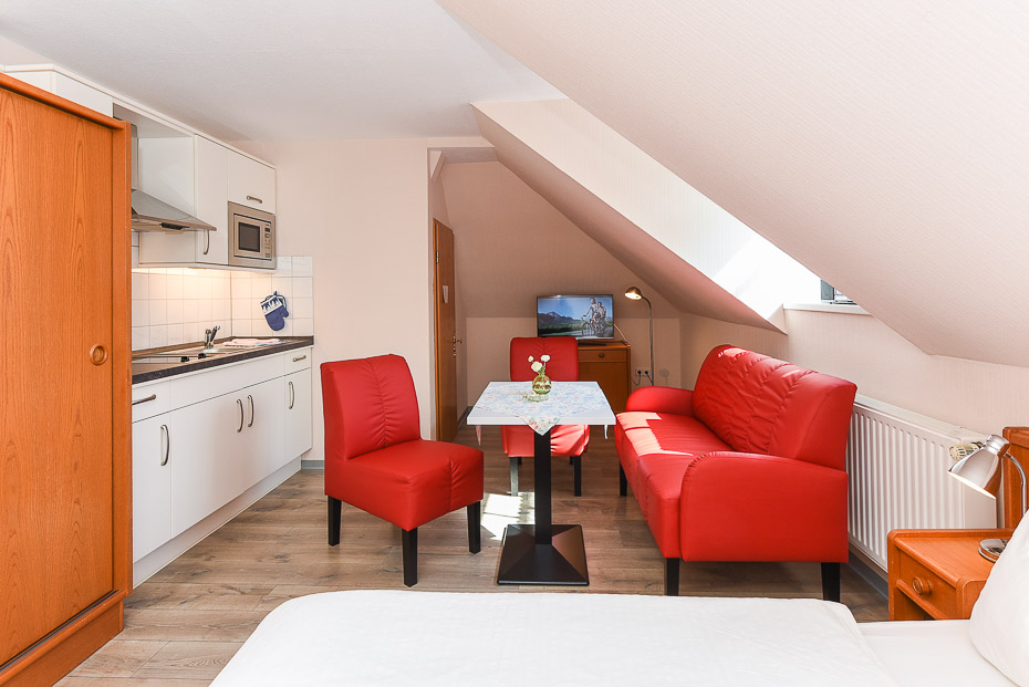 Apartment 18 - Wohn- und Schlafraum mit integriertem Küchenbereich