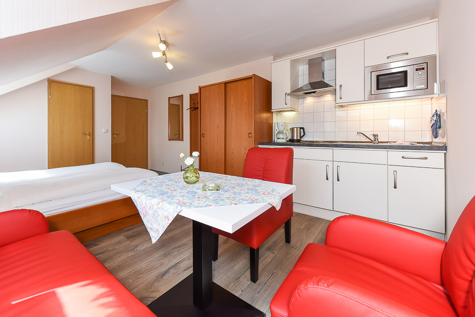 Apartment 18 - Wohn- und Schlafraum mit integriertem Küchenbereich