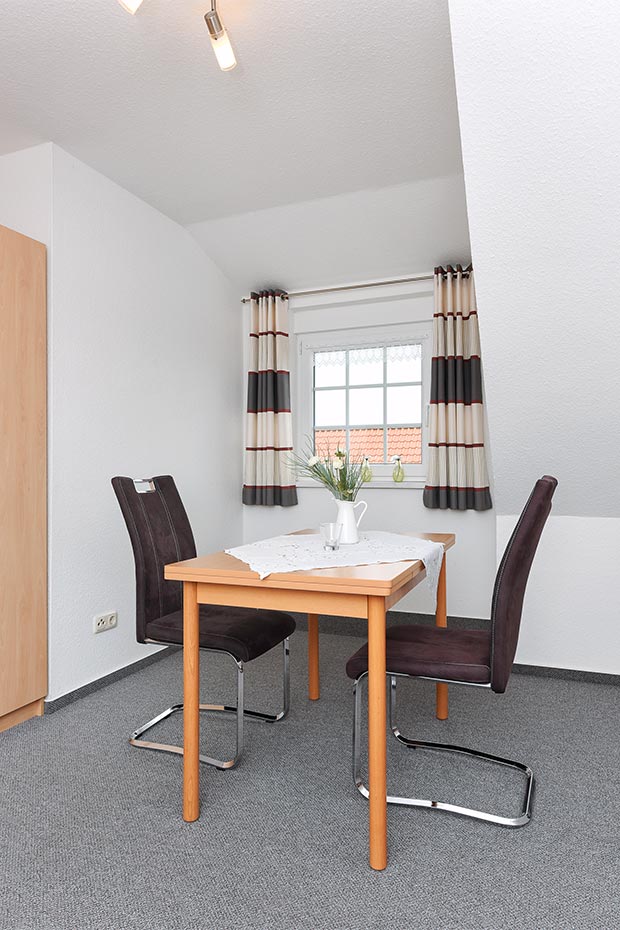 Apartment „Studio Deichblick“ - Wohn- und Schlafraum mit integriertem Küchenbereich