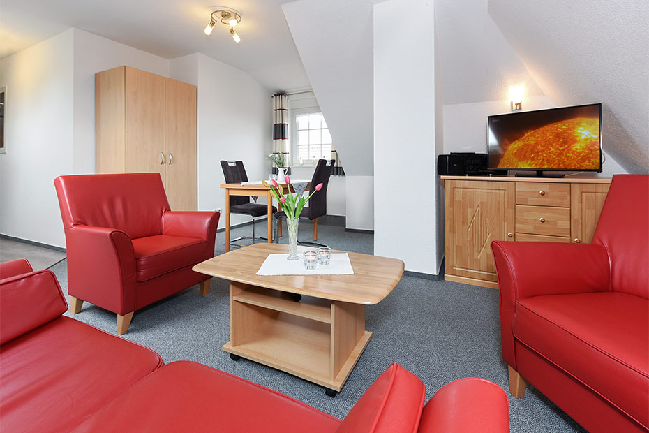 Apartment „Studio Deichblick“ - Wohn- und Schlafraum mit integriertem Küchenbereich