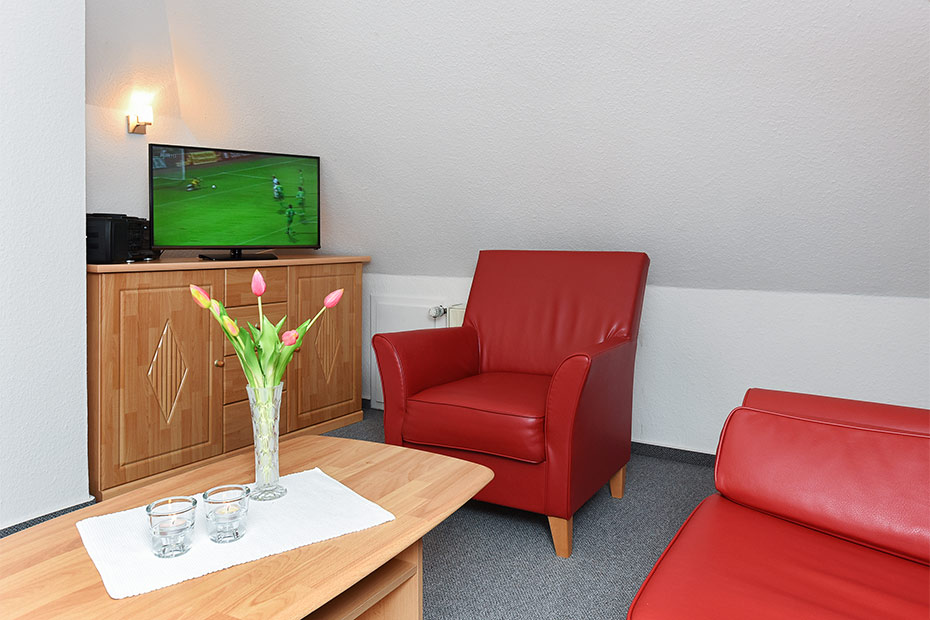 Apartment „Studio Deichblick“ - Wohn- und Schlafraum mit integriertem Küchenbereich