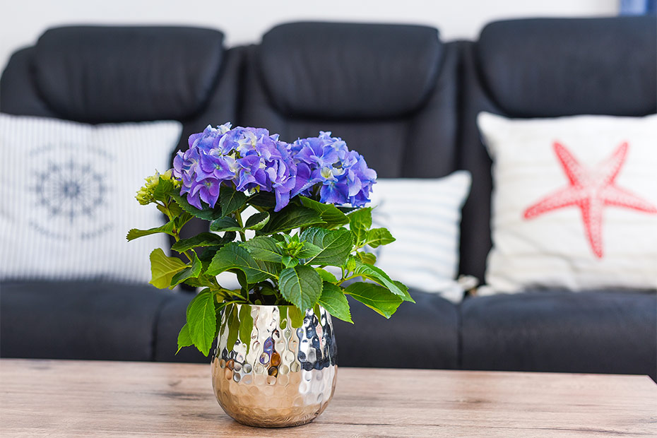 Ferienwohnung - Wohnzimmer