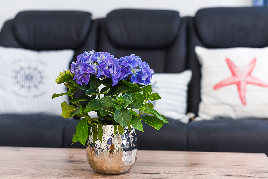 Ferienwohnung - Wohnzimmer