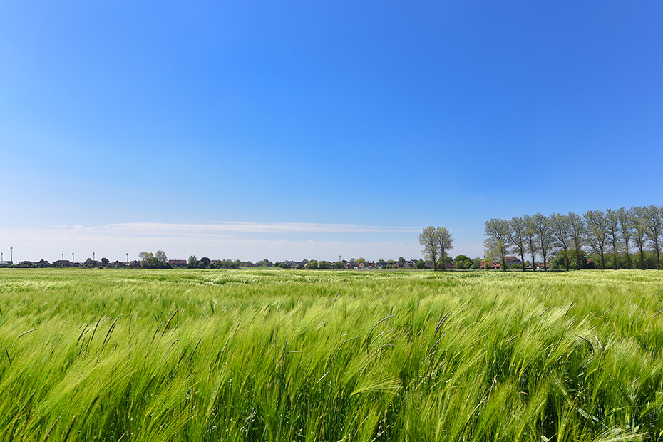 Ferienwohnung - Terrasse