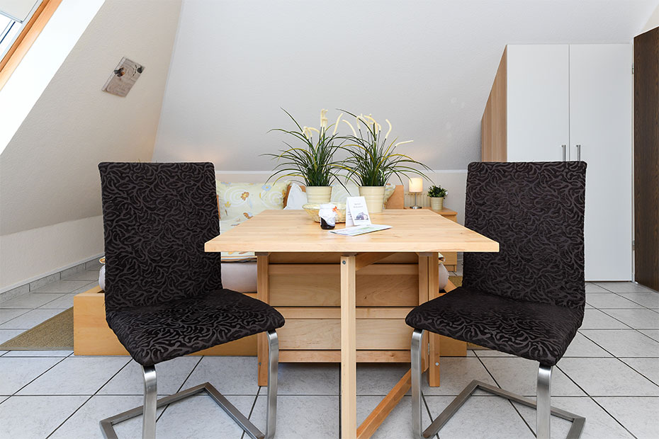 Apartment „Memmert“ - Wohn- und Schlafraum mit integriertem Küchenbereich