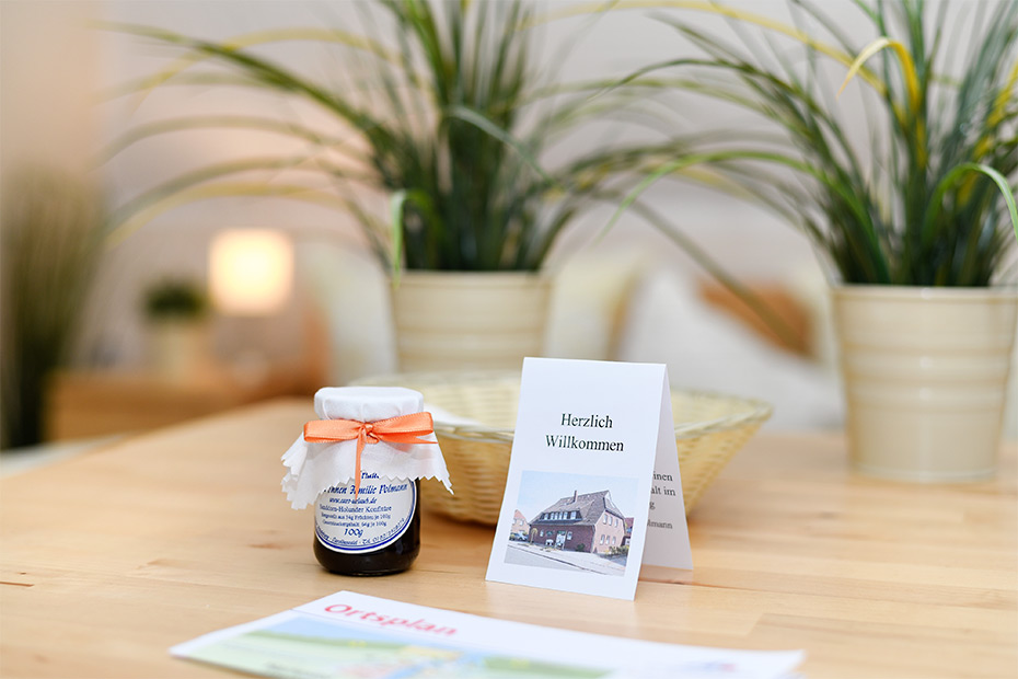 Apartment „Memmert“ - Wohn- und Schlafraum mit integriertem Küchenbereich