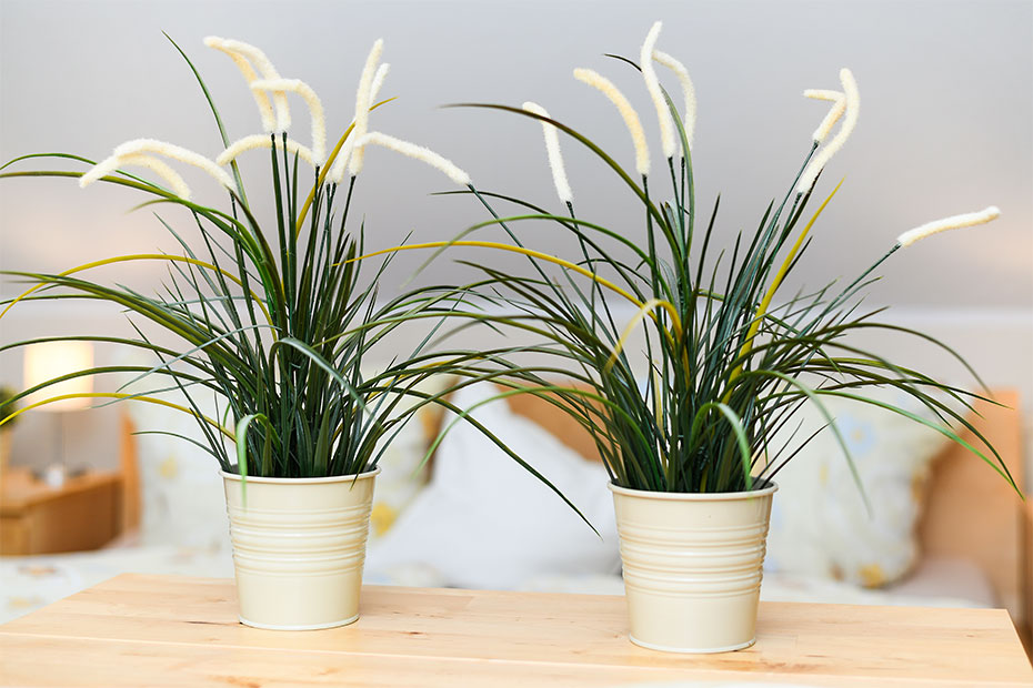 Apartment „Memmert“ - Wohn- und Schlafraum mit integriertem Küchenbereich